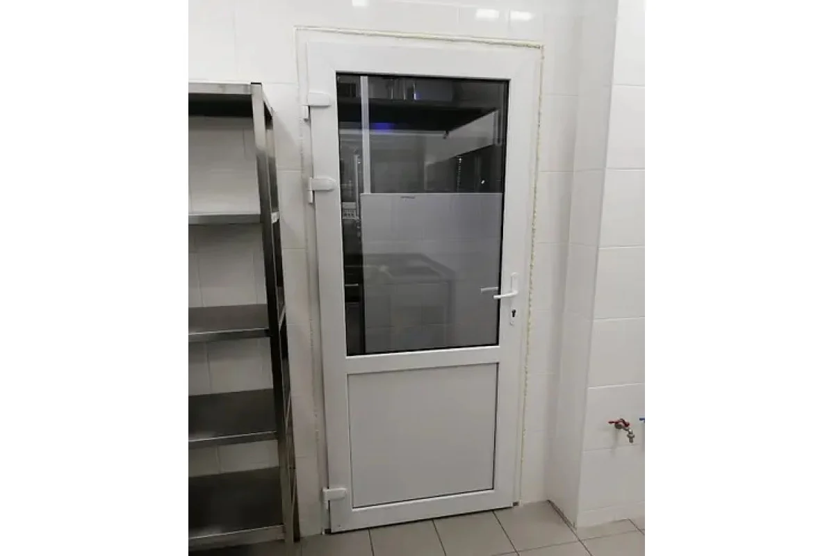 Металопластикові двері WDS 5S поворотно-відкидне 900 x 2200 мм